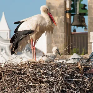 Stork Hostel Olhao