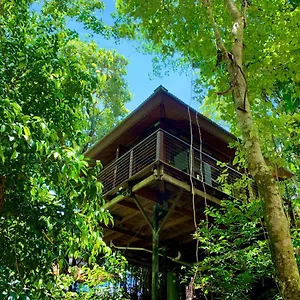 Rainforest Retreat Resort Cairns